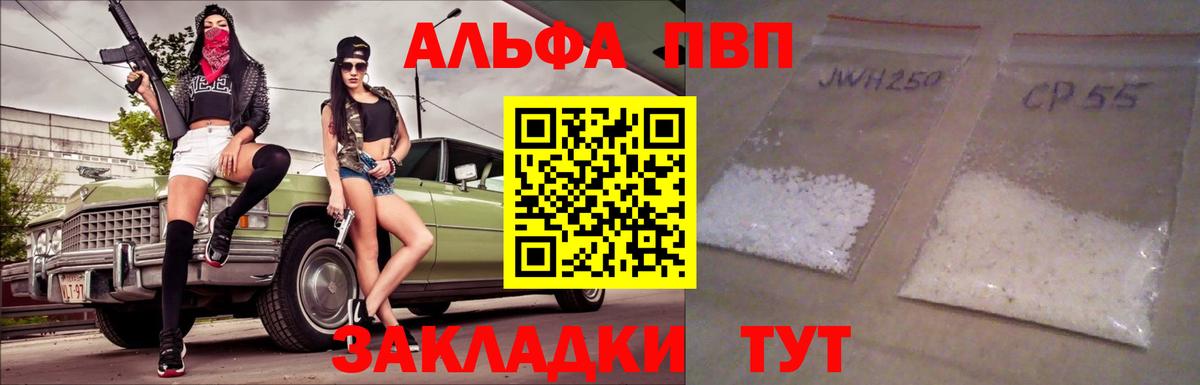 A PVP СК КРИС Александров